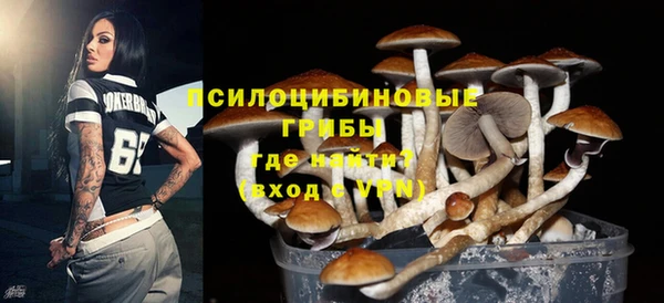 PSILOCYBIN Богородск